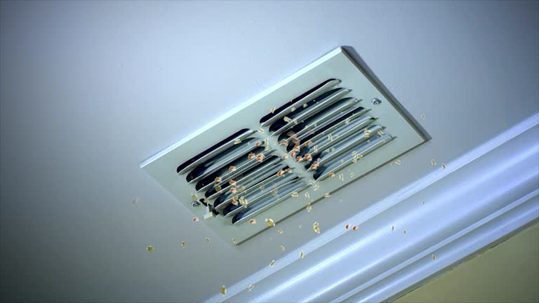 Best Professional Duct Cleaning Services  in West Mountain, UT